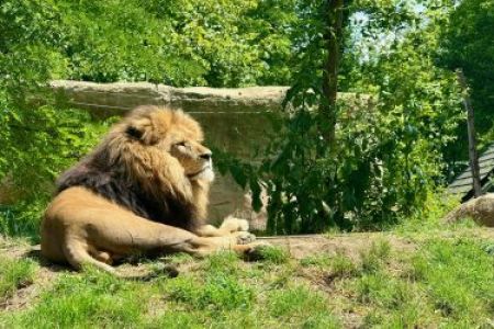 Sommer in der Kinderkrippe