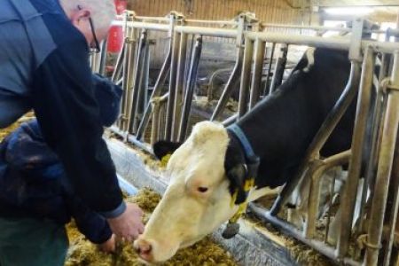 KiGa Tiger Ausflug zum Versuchsgut der LMU München