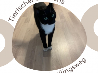 Tierischer Zuwachs im Beherberungsbetrieb