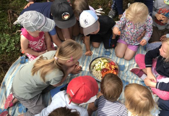 Kinder beim Picknick