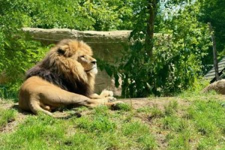 Sommer in der Kinderkrippe