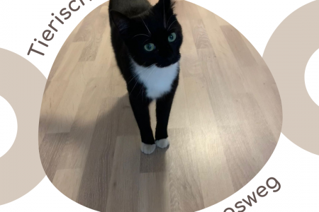 Tierischer Zuwachs im Beherberungsbetrieb