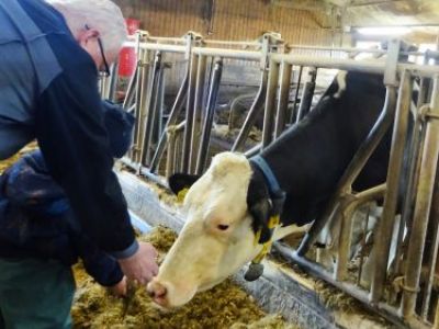 KiGa Tiger Ausflug zum Versuchsgut der LMU München