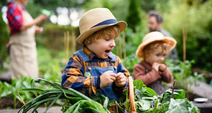 Projektpatenschaften