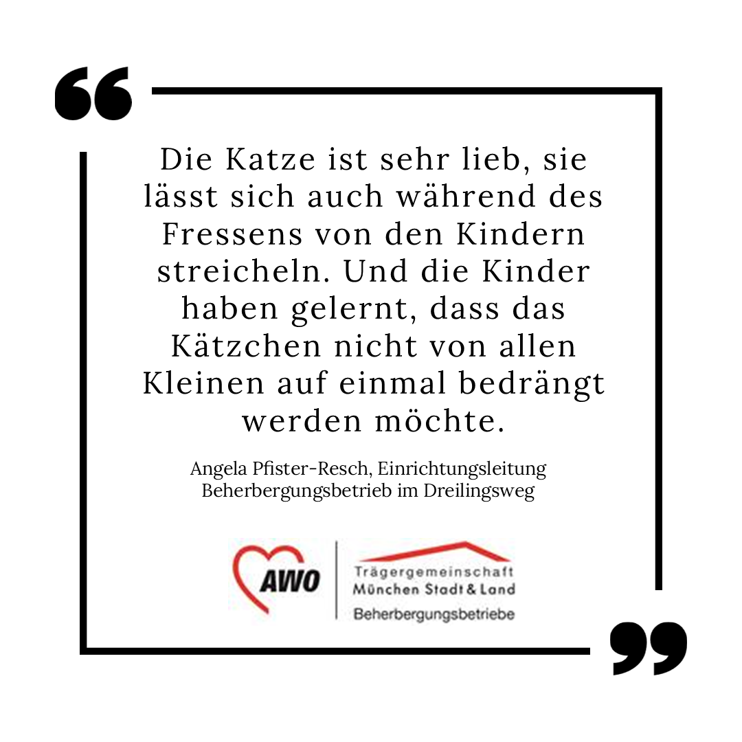 Zitat von Angela Pfister-Resch