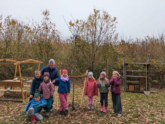 Ganz schön was los im Wald