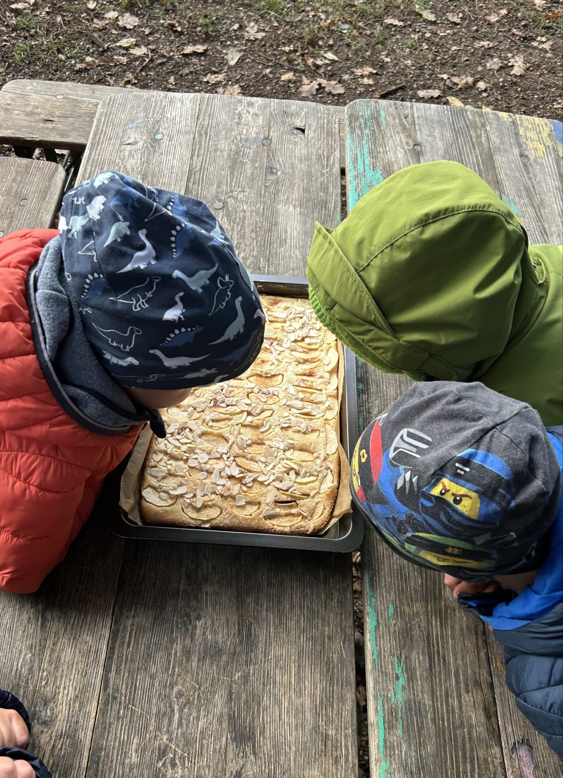 Kinder bestaunen Apfelkuchen