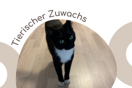 Tierischer Zuwachs im Beherberungsbetrieb