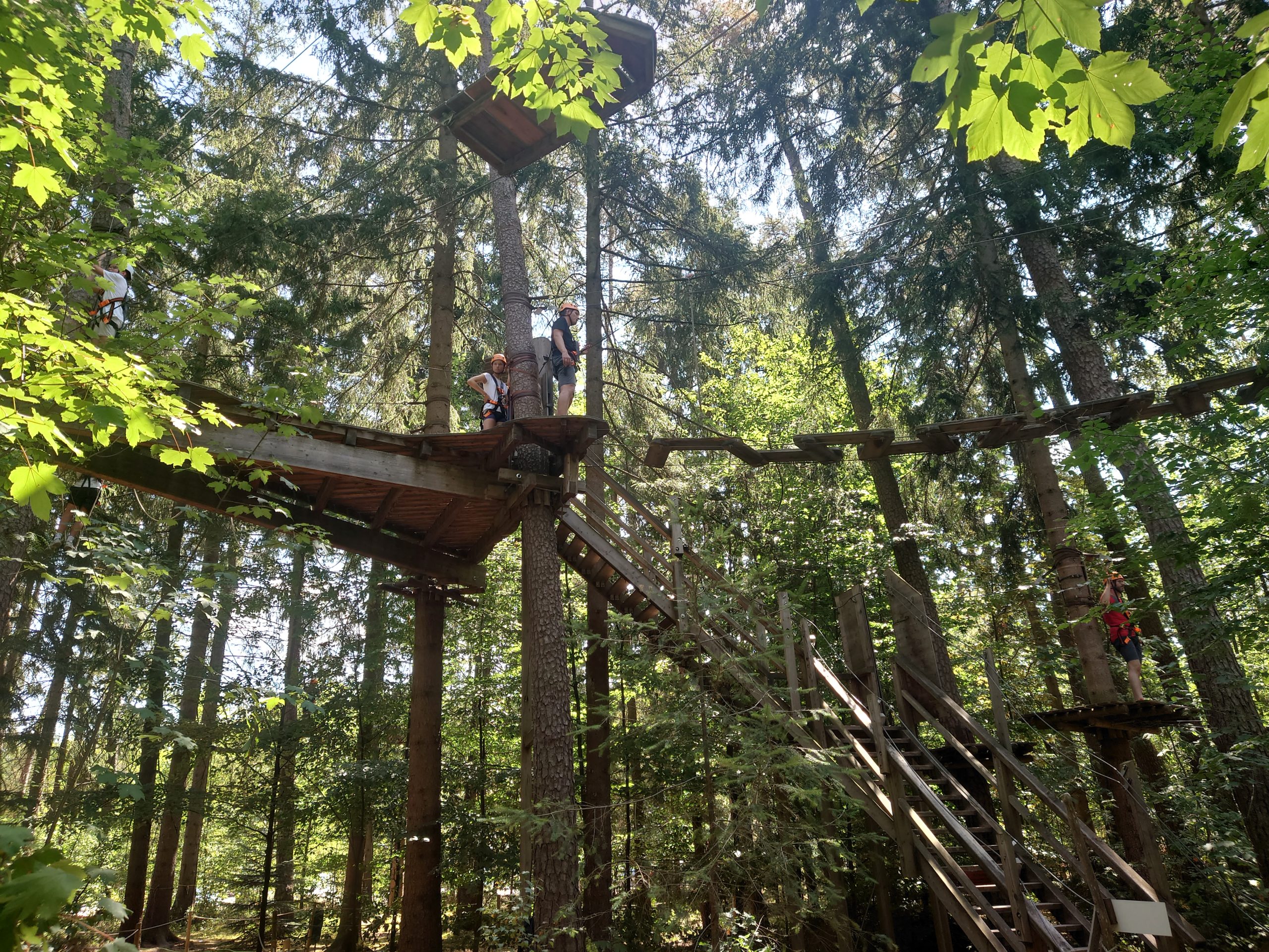 Kletterwald