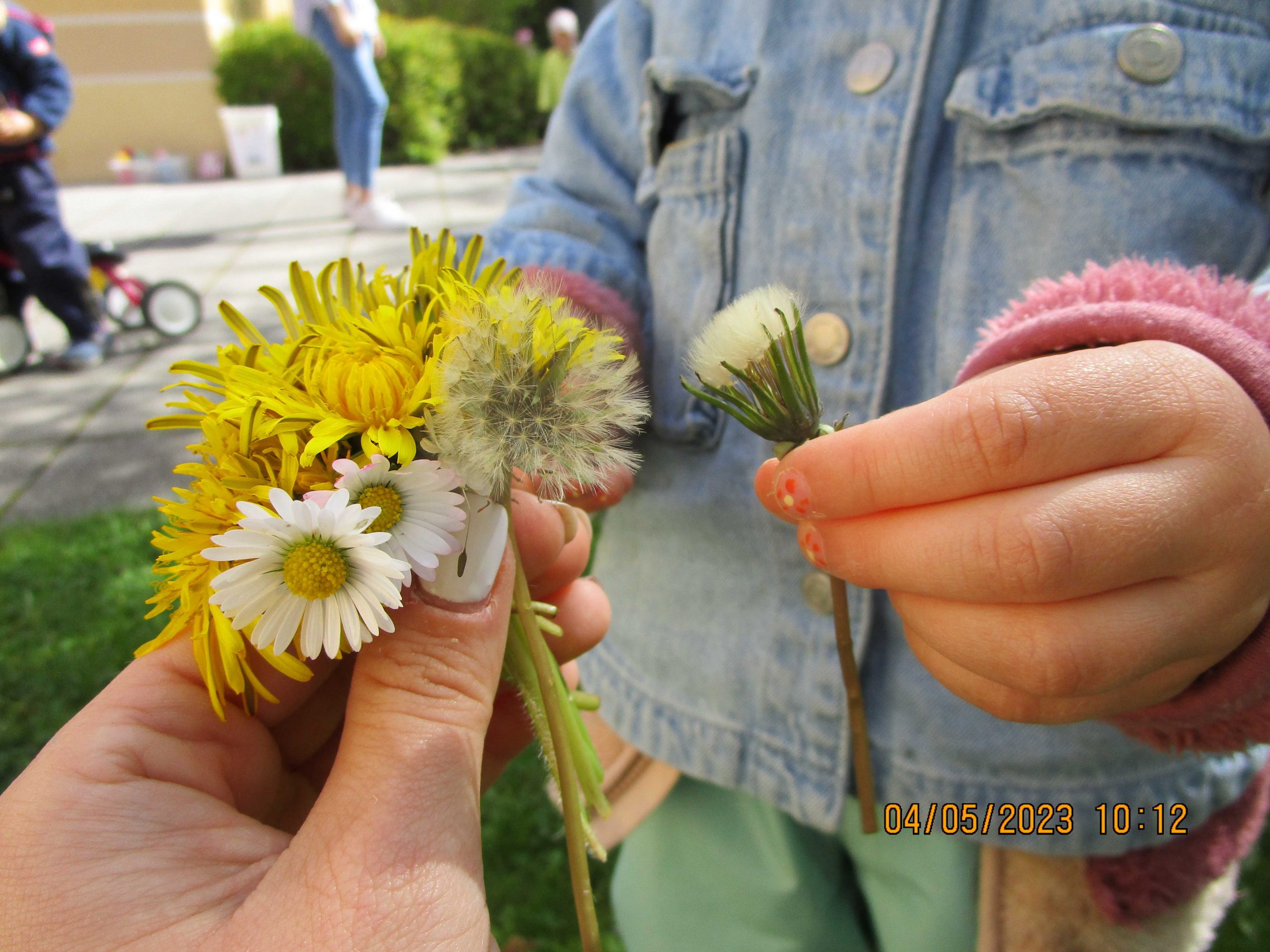 Erwachsener und Kind halten Blumenstrauße und Blümchen