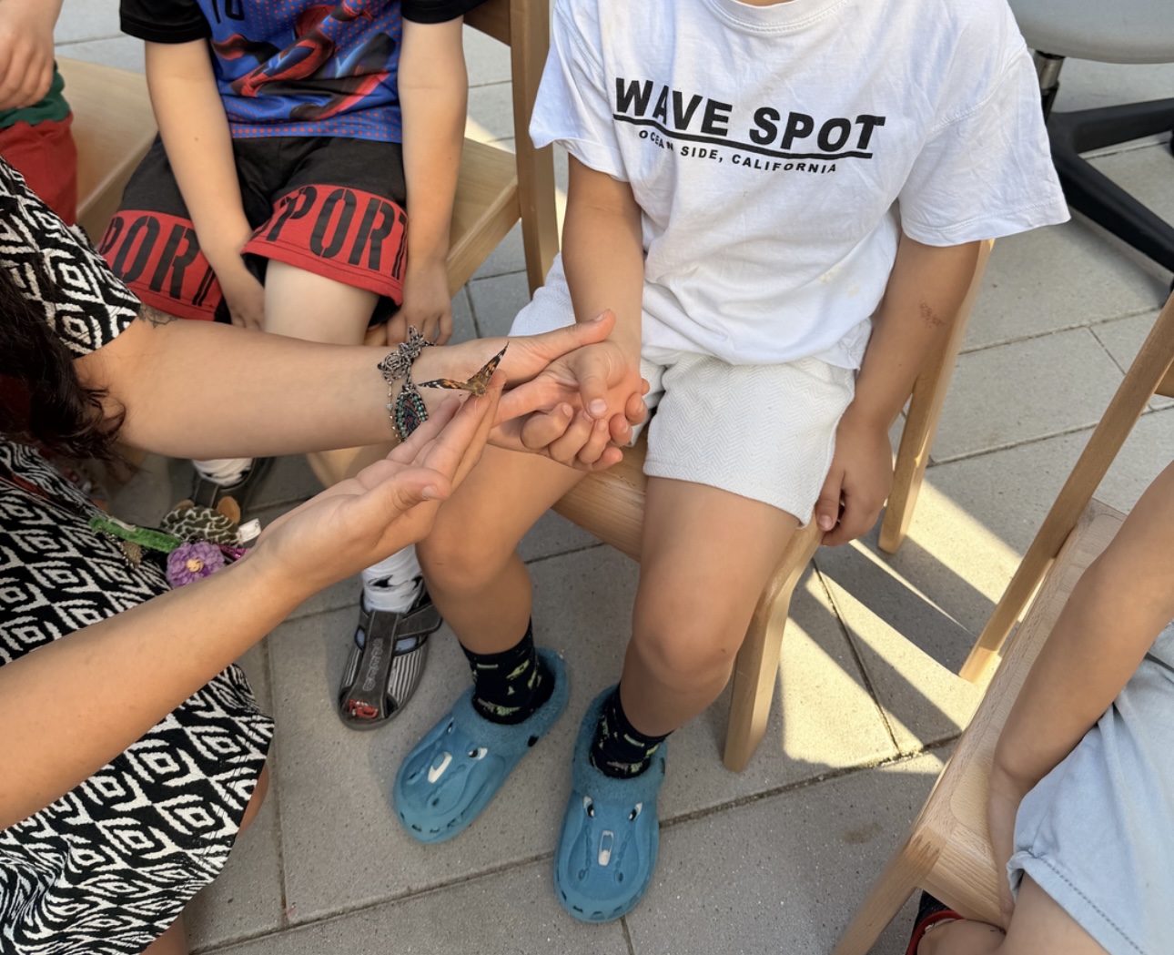 Kinderhände und Schmetterling