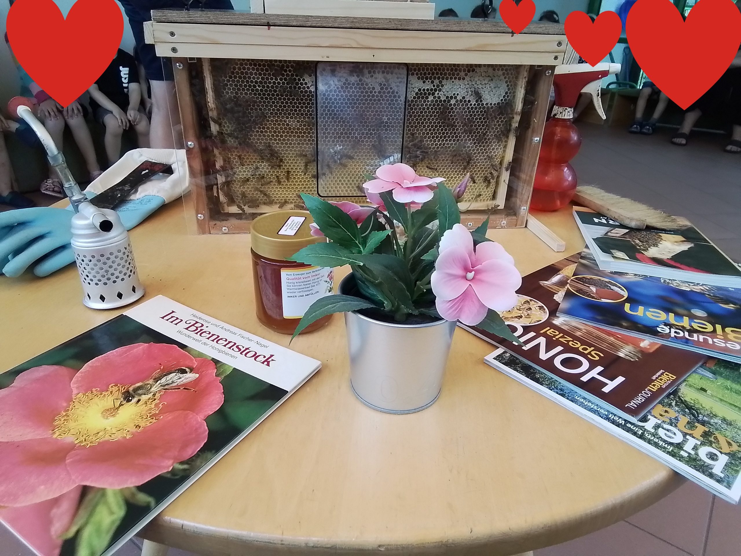 Tisch mit Bienen in Terrarium und Info-Zeitschriften sowie Honig