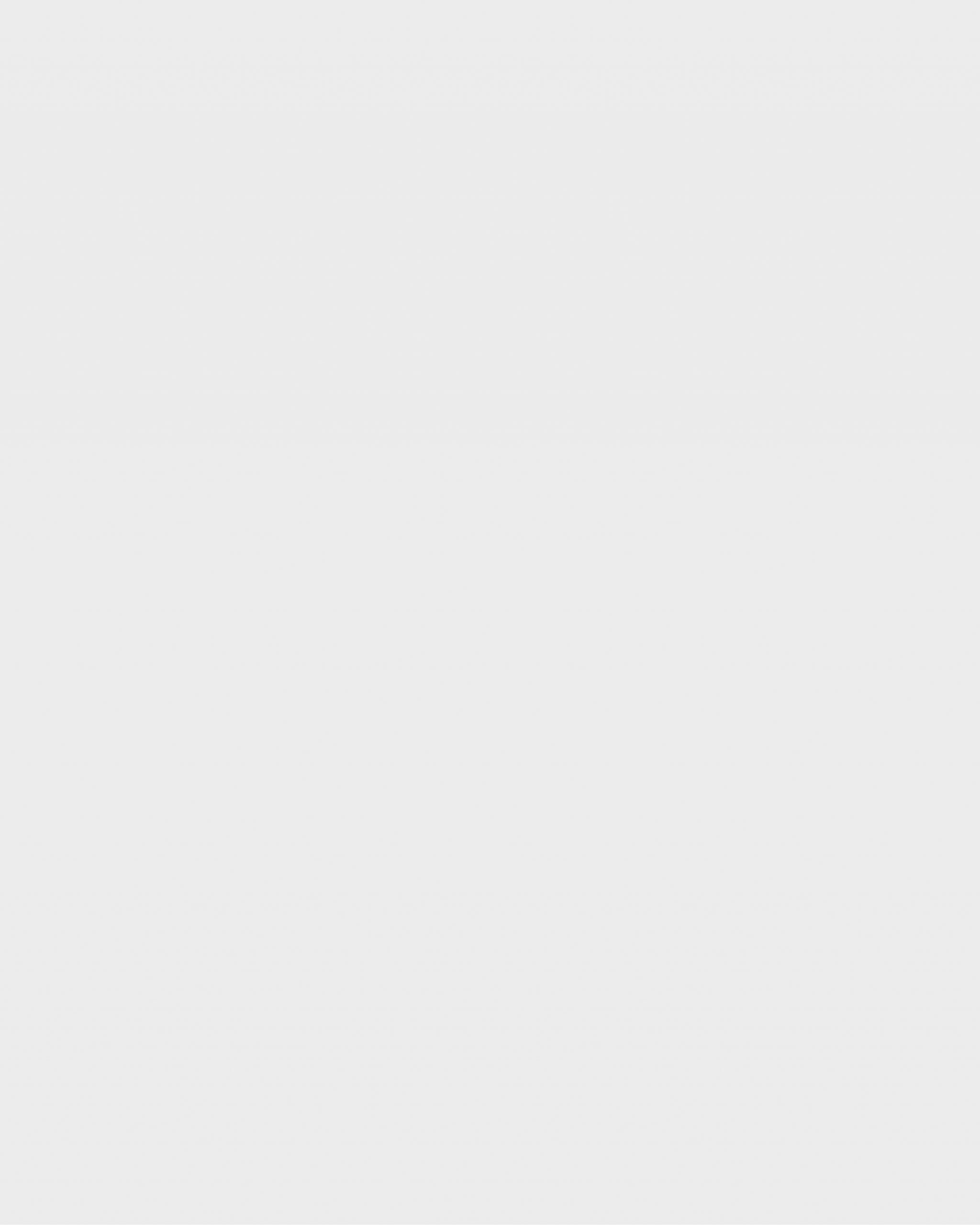 Bild Instagram Vorlage