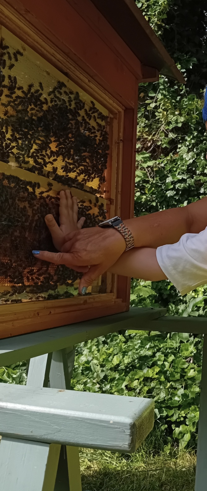 Viele Bienen
