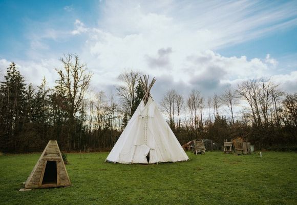 Tipi