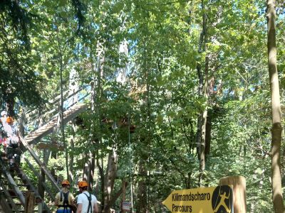 OV Garching: Hoch hinaus – Garchinger Jugendliche erobern den Kletterwald