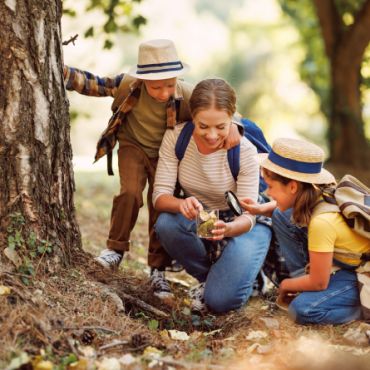 Quereinstieg Päd. Fachkraft