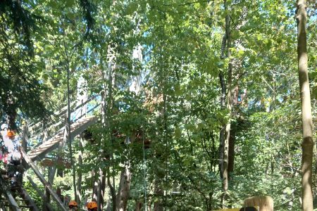 OV Garching: Hoch hinaus – Garchinger Jugendliche erobern den Kletterwald