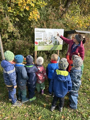Die Wurzelzwerge übernehmen eine Blühpatenschaft