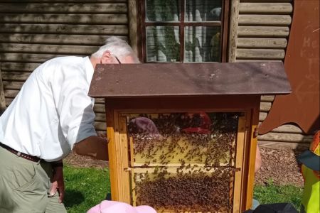 Kinderhaus Hand in Hand: Ein süßer Abschluss unseres Bienenprojekts