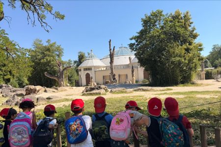 Kinderhaus Hand in Hand: Vorschulausflug in den Tierpark Hellabrunn
