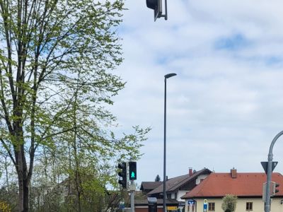 Sicher über die Straße – Verkehrserziehung bei Wurzelzwergen und in Gänseliesl