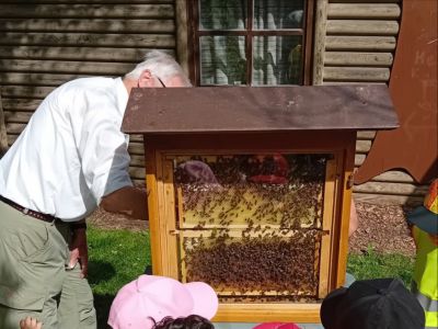 Kinderhaus Hand in Hand: Ein süßer Abschluss unseres Bienenprojekts