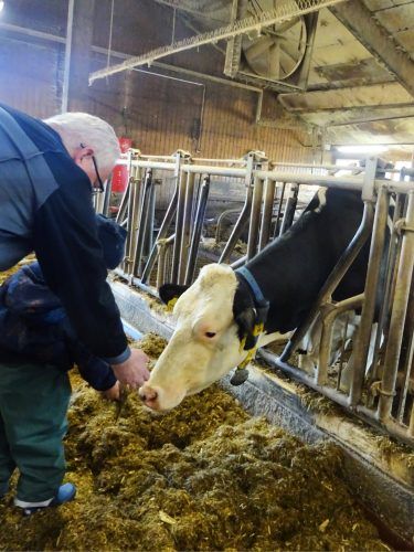KiGa Tiger Ausflug zum Versuchsgut der LMU München