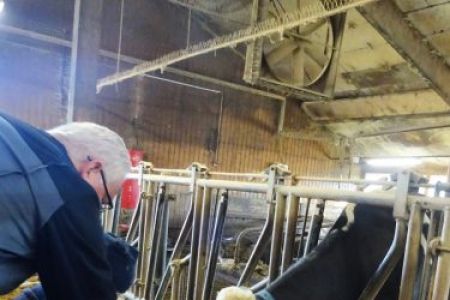 KiGa Tiger Ausflug zum Versuchsgut der LMU München