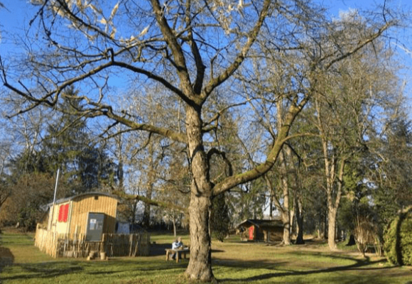 Hintergrundbild