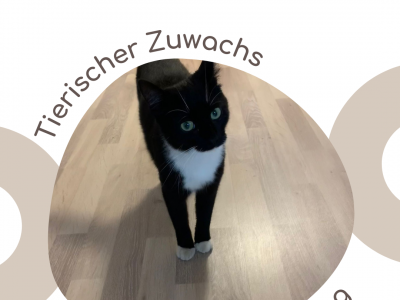 Tierischer Zuwachs im Beherberungsbetrieb