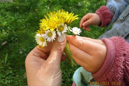 Der Sommer kommt
